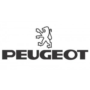 Купить Peugeot  чехлы, коврики, накидки, брызговики,  - купить в интернет-магазине. Vivans.ru