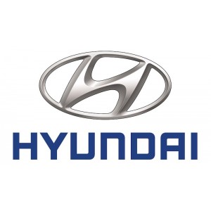 Купить Hyundai  чехлы, коврики, накидки, брызговики,  - купить в интернет-магазине. Vivans.ru